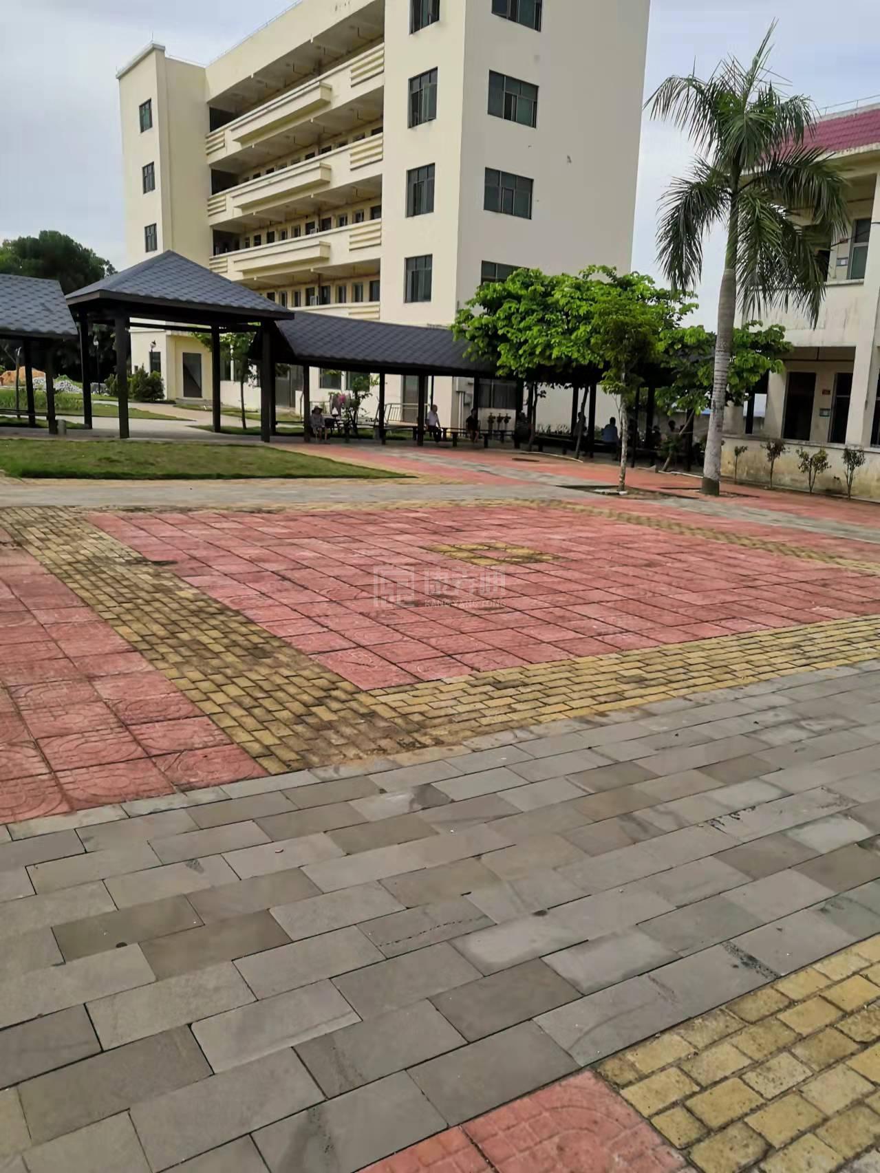 定安县定城镇中心敬老院环境图-床位