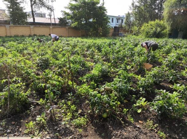 东方红林区社会福利院关于我们-轮播图2