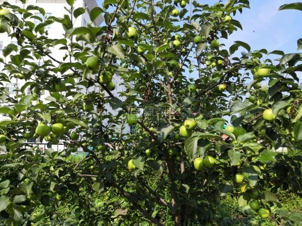 东方红林区社会福利院服务项目图2亦动亦静、亦新亦旧