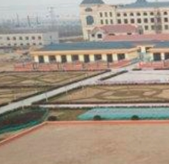 老年木雕艺术：点燃养老创意的绚烂火花新闻封面