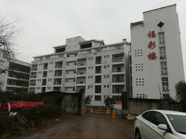 重庆市合川区社会福利院机构封面