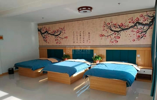 颐养医养中心服务项目图1为长者生命健康保驾护航