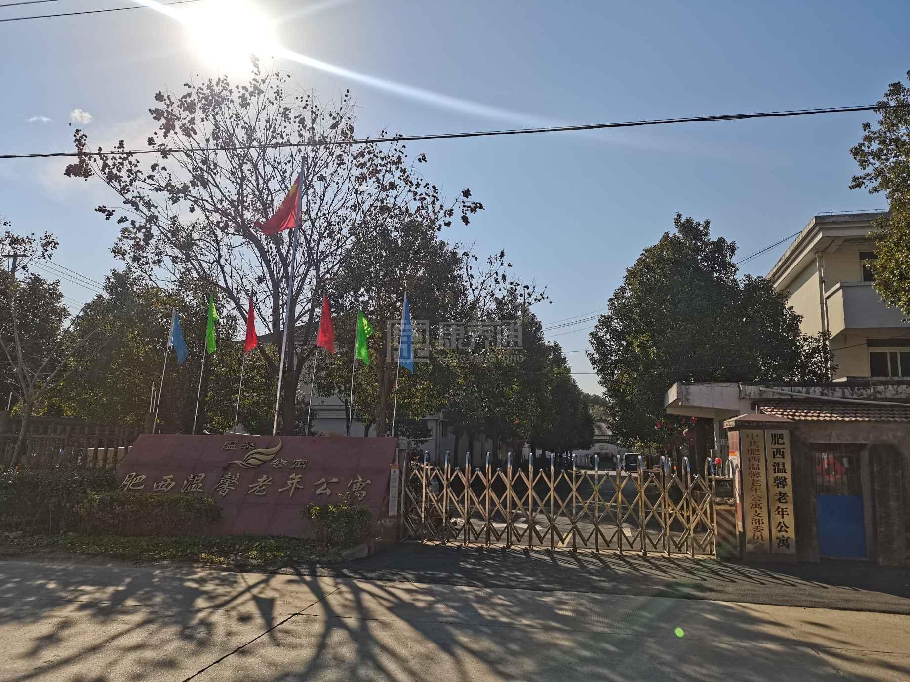 肥西温馨老年公寓环境图-餐台