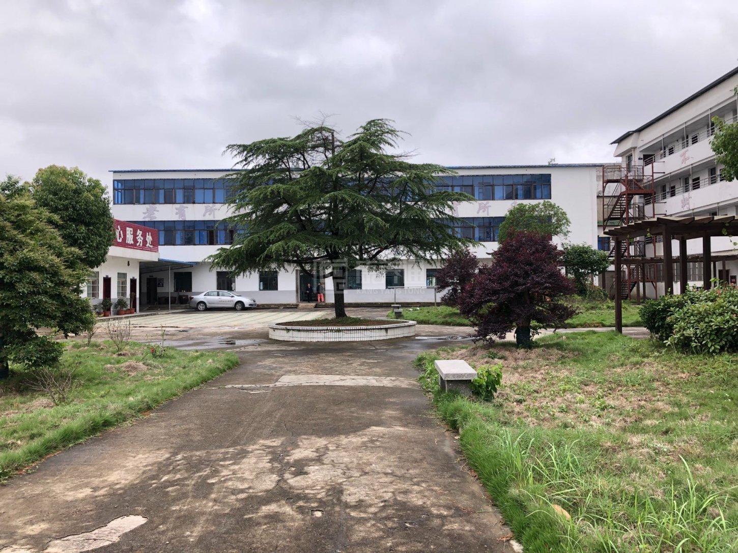 枞阳县枞阳镇中心敬老院环境图-走廊