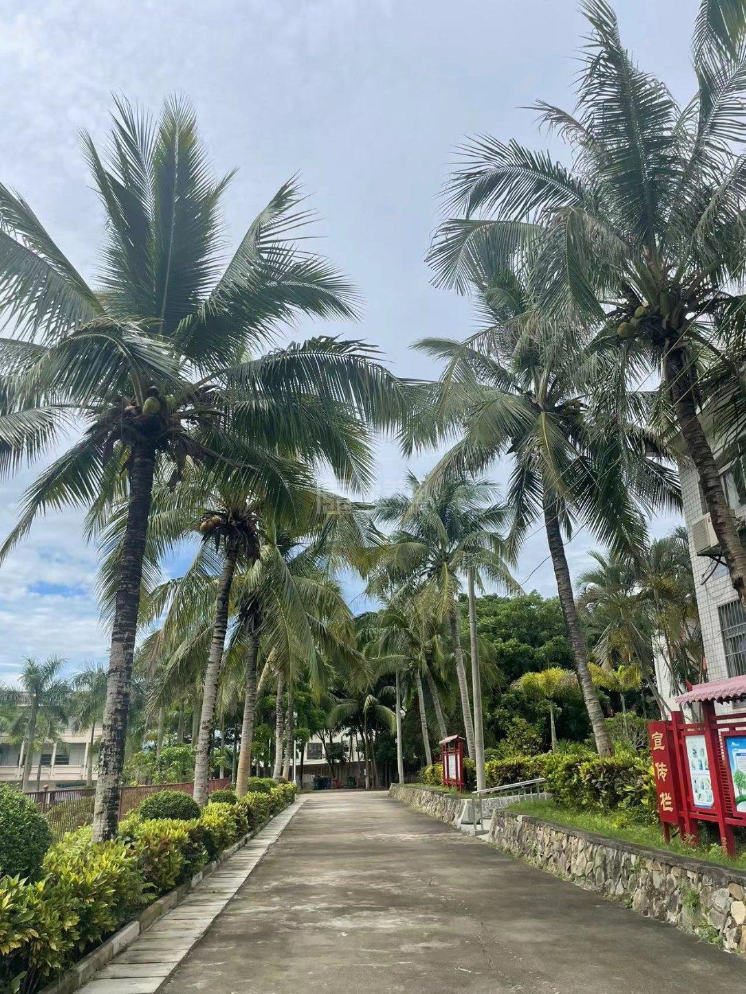 儋州市老年人服务中心服务项目图1健康安全、营养均衡、味美可口